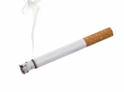 Как вы относитесь к курящим воспитателям?