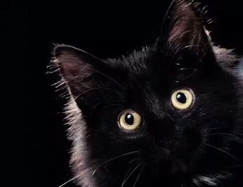 Кто в доме хозяин? Или верите ли вы в приметы? Кто в доме хозяин? Или верите ли вы в приметы?