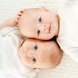 Каковы шансы родить двойняшек?