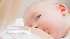Как отучить ребенка кусать грудь во время грудного вскармливания