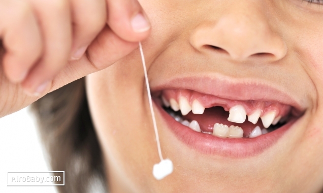 Смена молочных зубов коренными