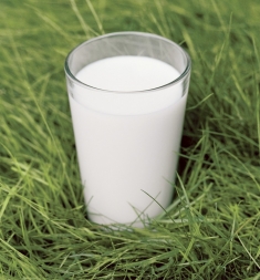 Частый насморк у ребёнка? Исключите из рациона слизеобразующую еду! Частый насморк у ребёнка? Исключите из рациона слизеобразующую еду!