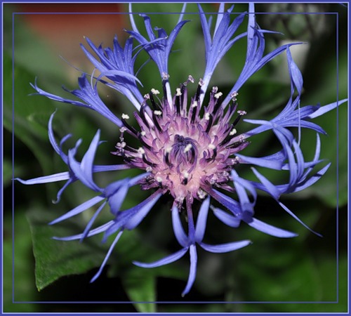 помогают ли Вам мужья???? помогают ли Вам мужья????