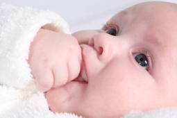 Зрение, слух, осязание - развиваем органы чувств малыша
