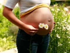 Лекарственные травы во время беременности