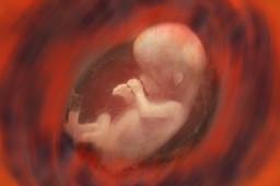 15 неделя беременности: ощущения в животе