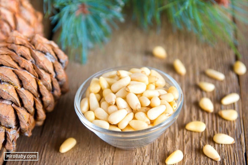 depositphotos-60269745-m-2015.jpg depositphotos-60269745-m-2015.jpg